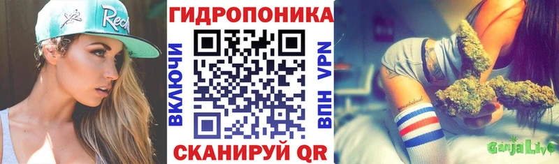 ГАШ Щёлково
