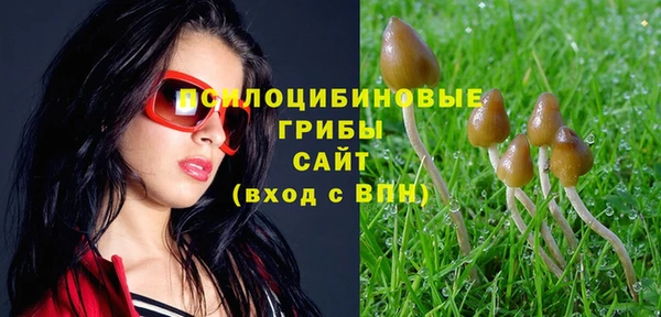 крисы Заволжье