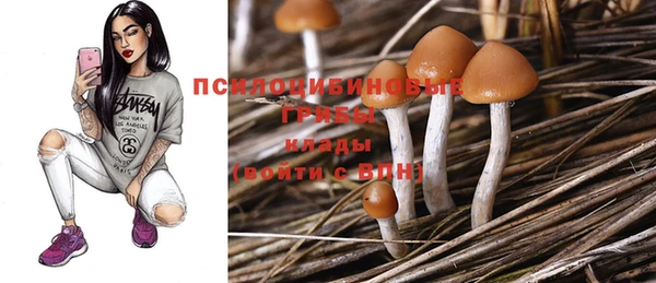 эйфоретик Зеленокумск
