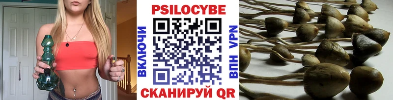 купить наркотик Щёлково Галлюциногенные грибы GOLDEN TEACHER